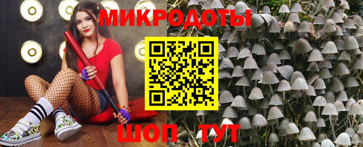 Псилоцибиновые грибы Magic Shrooms Курчатов